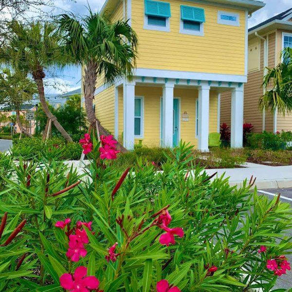 krows-nest-orlando-003